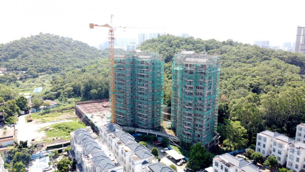 DJI_0298.jpg