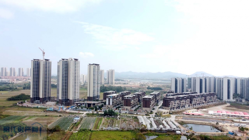 DJI_0460.JPG