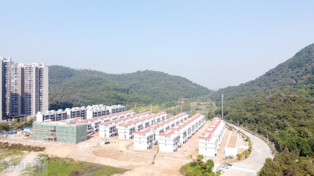 DJI_0541.JPG
