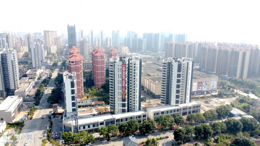 DJI_0572.JPG